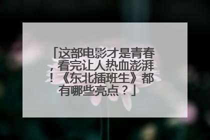 这部电影才是青春，看完让人热血澎湃！《东北插班生》都有哪些亮点？