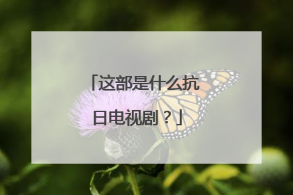 这部是什么抗日电视剧？