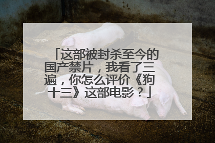 这部被封杀至今的国产禁片，我看了三遍，你怎么评价《狗十三》这部电影？