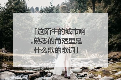 这陌生的城市啊,熟悉的角落里是什么歌的歌词