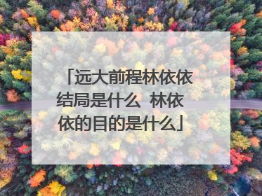 远大前程林依依结局是什么 林依依的目的是什么