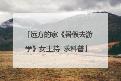 远方的家《暑假去游学》女主持 求科普