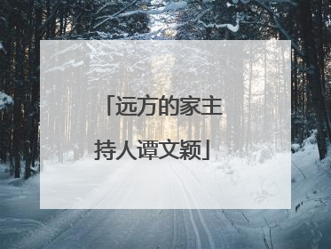 远方的家主持人谭文颖