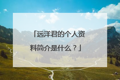 远洋君的个人资料简介是什么？