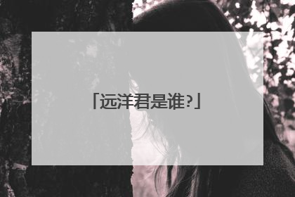 远洋君是谁?