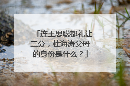 连王思聪都礼让三分,杜海涛父母的身份是什么?
