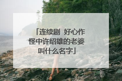 连续剧 好心作怪中许绍雄的老婆叫什么名字