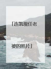 连凯现任老婆的照片