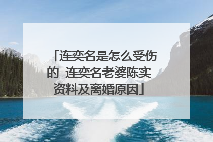 连奕名是怎么受伤的 连奕名老婆陈实资料及离婚原因
