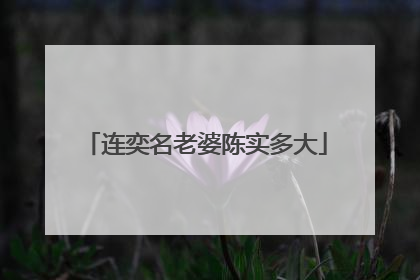 连奕名老婆陈实多大