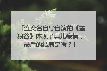 连奕名自导自演的《雪狼谷》体现了男儿豪情,最后的结局是啥?