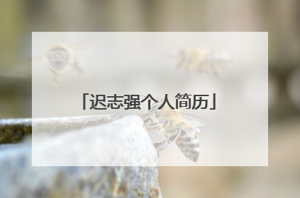 迟志强个人简历