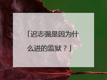 迟志强是因为什么进的监狱?