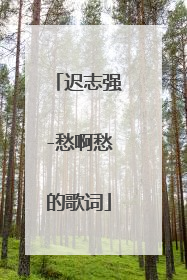 迟志强-愁啊愁的歌词