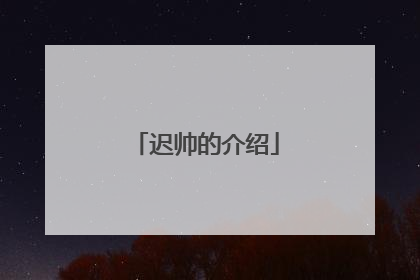 迟帅的介绍