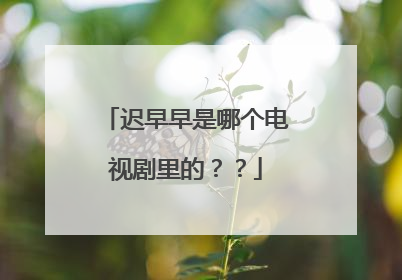 迟早早是哪个电视剧里的？？