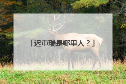 迟重瑞是哪里人？