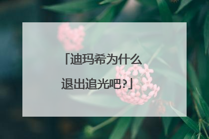迪玛希为什么退出追光吧?