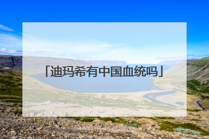 迪玛希有中国血统吗