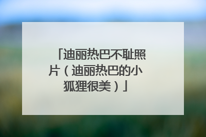 迪丽热巴不耻照片(迪丽热巴的小狐狸很美)