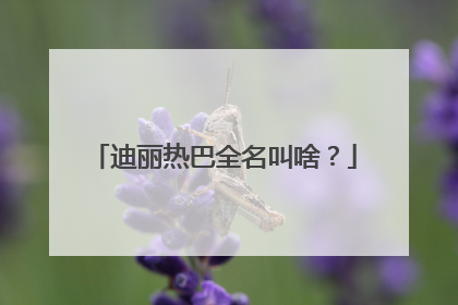 迪丽热巴全名叫啥?
