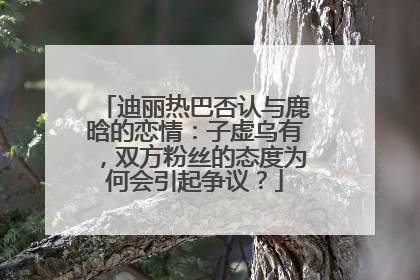 迪丽热巴否认与鹿晗的恋情：子虚乌有，双方粉丝的态度为何会引起争议？