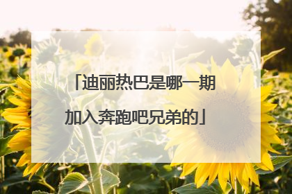 迪丽热巴是哪一期加入奔跑吧兄弟的