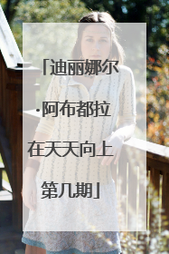 迪丽娜尔·阿布都拉在天天向上第几期