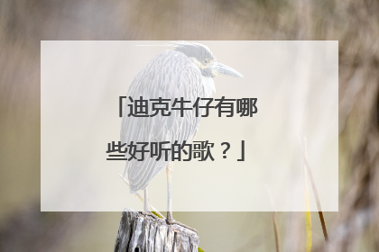 迪克牛仔有哪些好听的歌?
