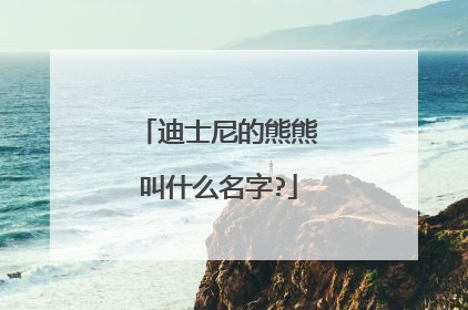 迪士尼的熊熊叫什么名字?