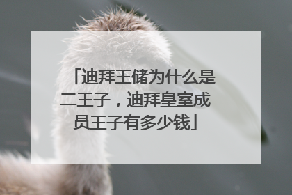 迪拜王储为什么是二王子,迪拜皇室成员王子有多少钱