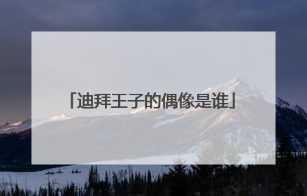 迪拜王子的偶像是谁