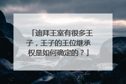 迪拜王室有很多王子,王子的王位继承权是如何确定的?