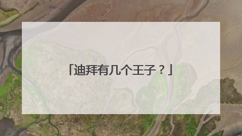 迪拜有几个王子?