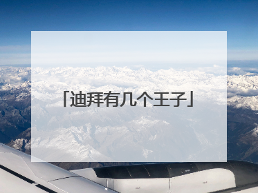 迪拜有几个王子