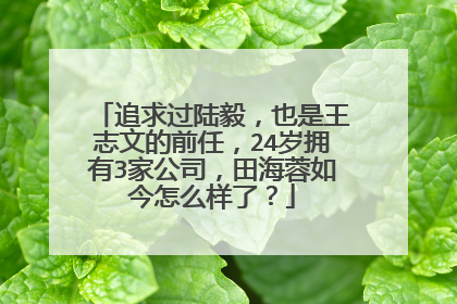 追求过陆毅，也是王志文的前任，24岁拥有3家公司，田海蓉如今怎么样了？