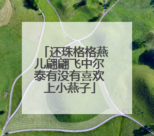 还珠格格燕儿翩翩飞中尔泰有没有喜欢上小燕子