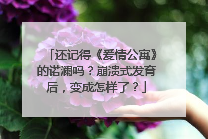 还记得《爱情公寓》的诺澜吗？崩溃式发育后，变成怎样了？
