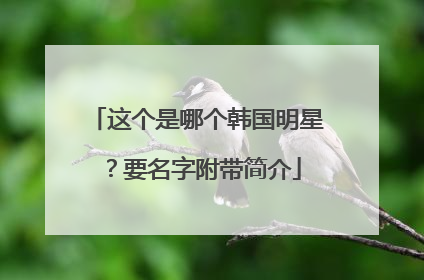 这个是哪个韩国明星？要名字附带简介