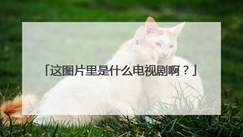 这图片里是什么电视剧啊?