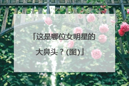 这是哪位女明星的大鼻头？(图)