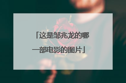 这是邹兆龙的哪一部电影的图片