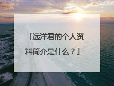 远洋君的个人资料简介是什么？