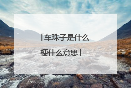 车珠子是什么梗什么意思