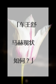 车王舒马赫现状如何?