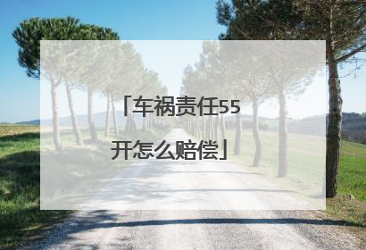 车祸责任55开怎么赔偿