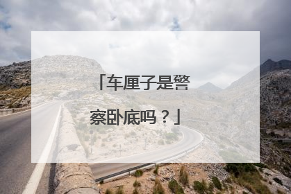 车厘子是警察卧底吗？