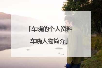 车晓的个人资料 车晓人物简介