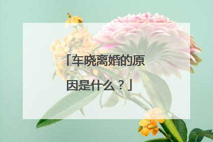 车晓离婚的原因是什么？
