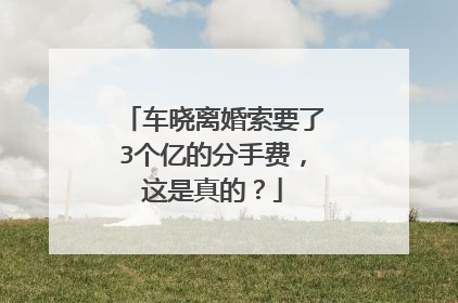 车晓离婚索要了3个亿的分手费,这是真的?